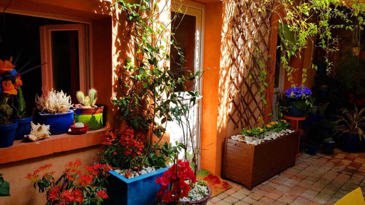 Petit Patio En Centre Ville Nîmes Exteriör bild